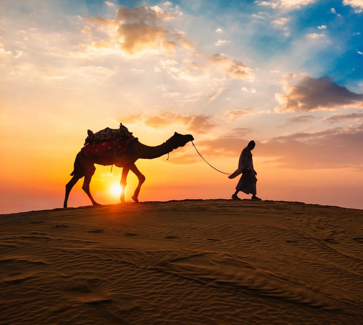 Camel Safari Jaisalmer